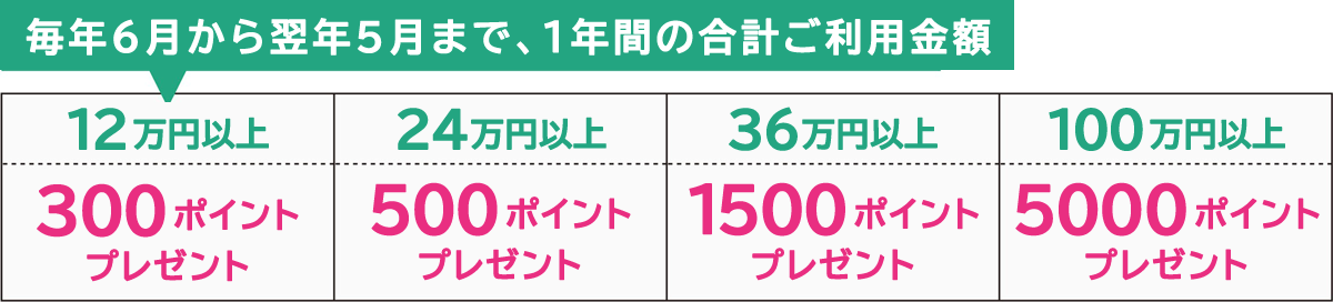 毎年6月から翌年5月まで、1年間の合計ご利用金額 12万円以上 300ポイントプレゼント 24万円以上 500ポイントプレゼント 36万円以上 1500ポイントプレゼント 100万円以上 5000ポイントプレゼント